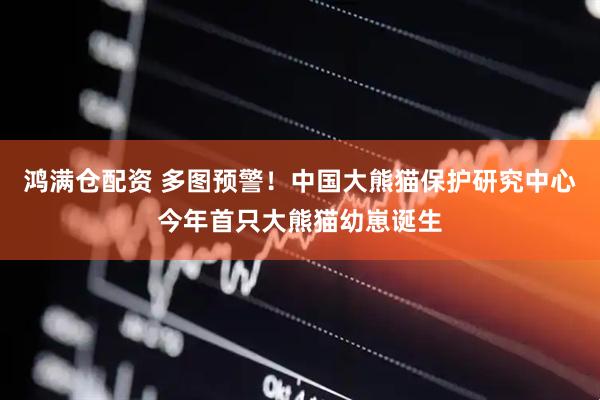 鸿满仓配资 多图预警！中国大熊猫保护研究中心今年首只大熊猫幼崽诞生