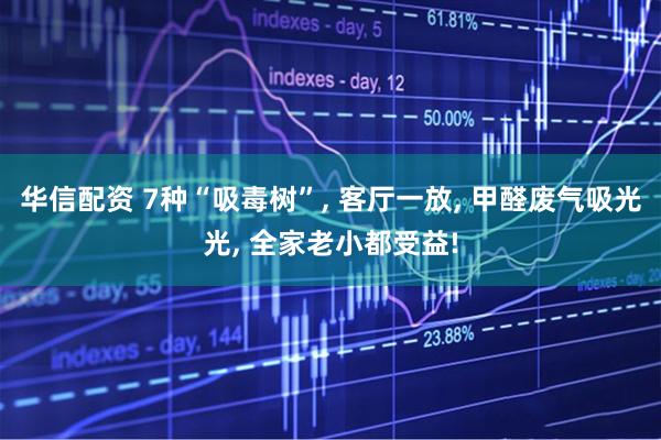 华信配资 7种“吸毒树”, 客厅一放, 甲醛废气吸光光, 全家老小都受益!