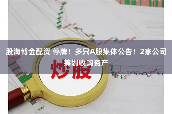 股海博金配资 停牌！多只A股集体公告！2家公司筹划收购资产