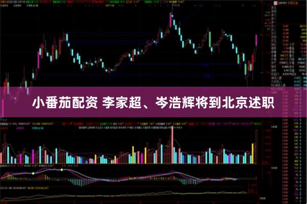 小番茄配资 李家超、岑浩辉将到北京述职