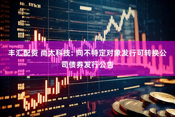 丰汇配资 尚太科技: 向不特定对象发行可转换公司债券发行公告